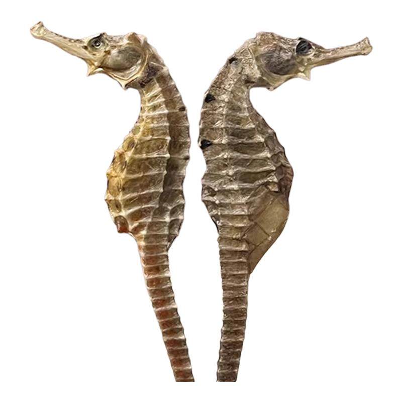 三斑海马公母一对6g装滋补煲汤养生泡酒干货中药材正品连锁旗舰店