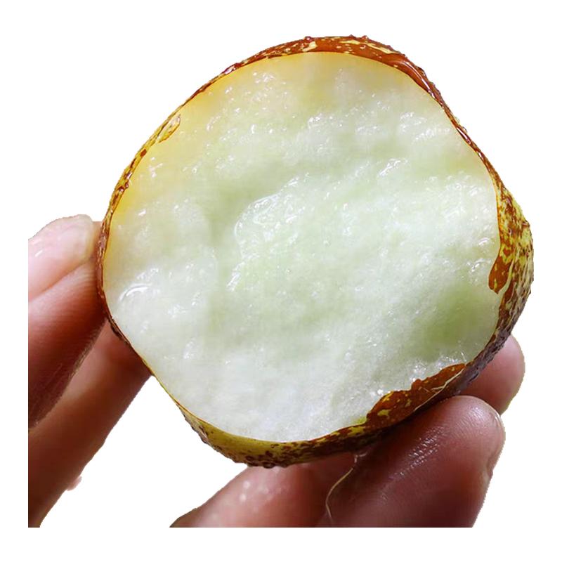 冬枣沾化果园直发，5斤包邮到家