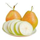 新鲜红香酥梨子新鲜酥脆香甜细腻无渣当季 新鲜水果产地直发梨