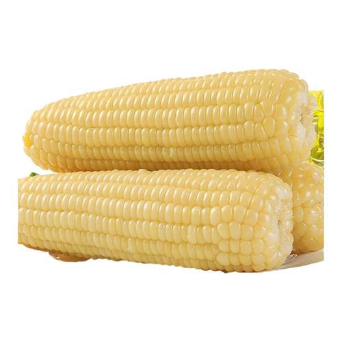 王老宝铝箔白糯玉米10根新鲜甜糯玉米方便营养健康轻脂整箱发