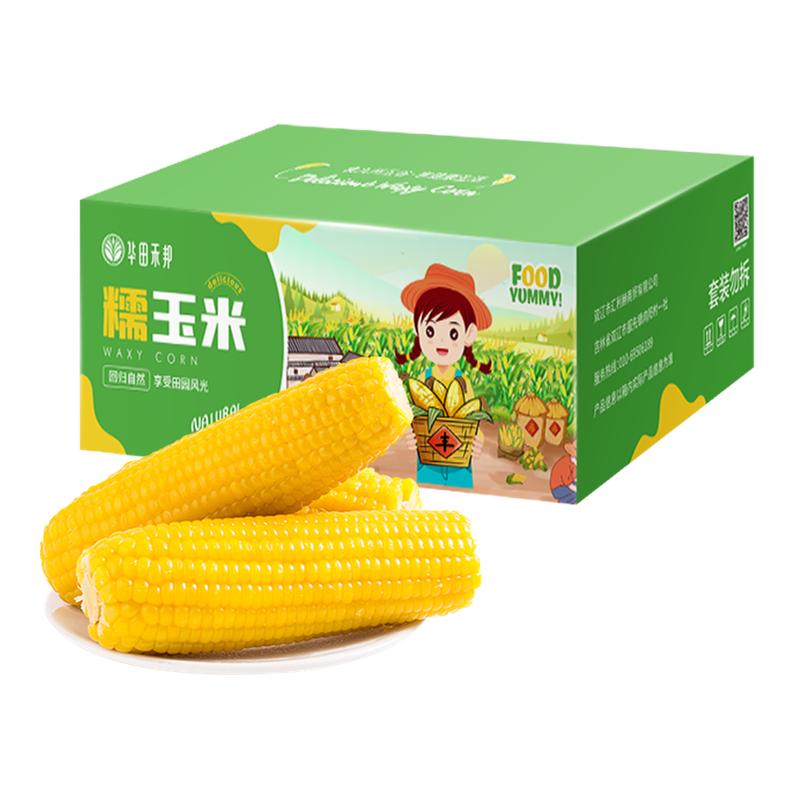 华田禾邦正宗东北黄糯玉米