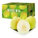 新疆库尔勒香梨皮薄核小梨中王当季 现摘新鲜水果孕妇梨子