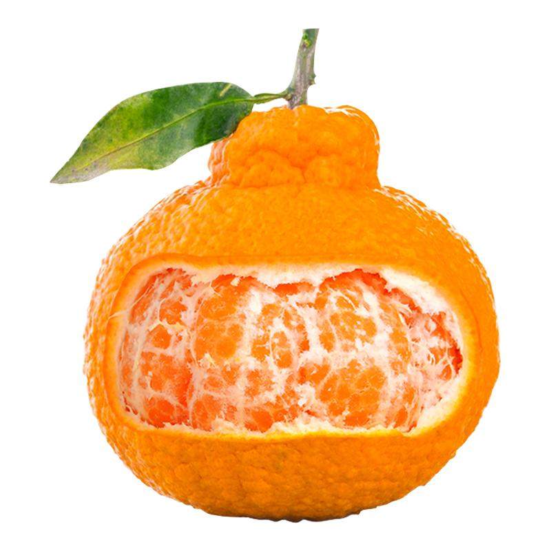 四川不知火丑橘大果5斤丑桔丑八怪新鲜水果丑柑当季新鲜水果整箱,水产肉类/新鲜蔬果/熟食,桔子,淘宝优惠券,粉丝福利购,淘宝优惠卷