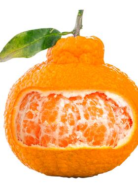 四川不知火丑橘大果5斤丑桔丑八怪新鲜水果丑柑当季新鲜水果整箱