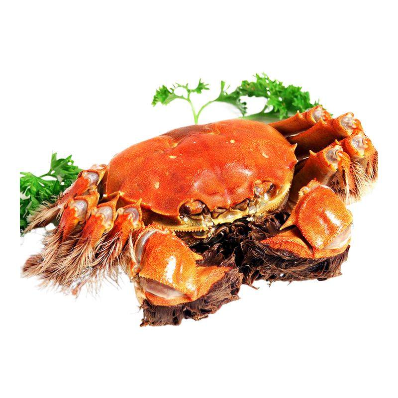 ���ڲ�����3����2�� ĸ8ֻ���Ƽ�� �ش��ʻ��л���բз���װ�з���˰���