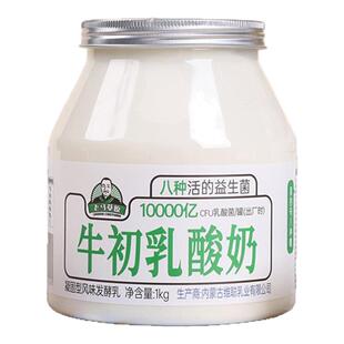 老马草原内蒙风味牛初乳酸奶1kg 2桶送两瓶巴氏鲜奶 官方直售