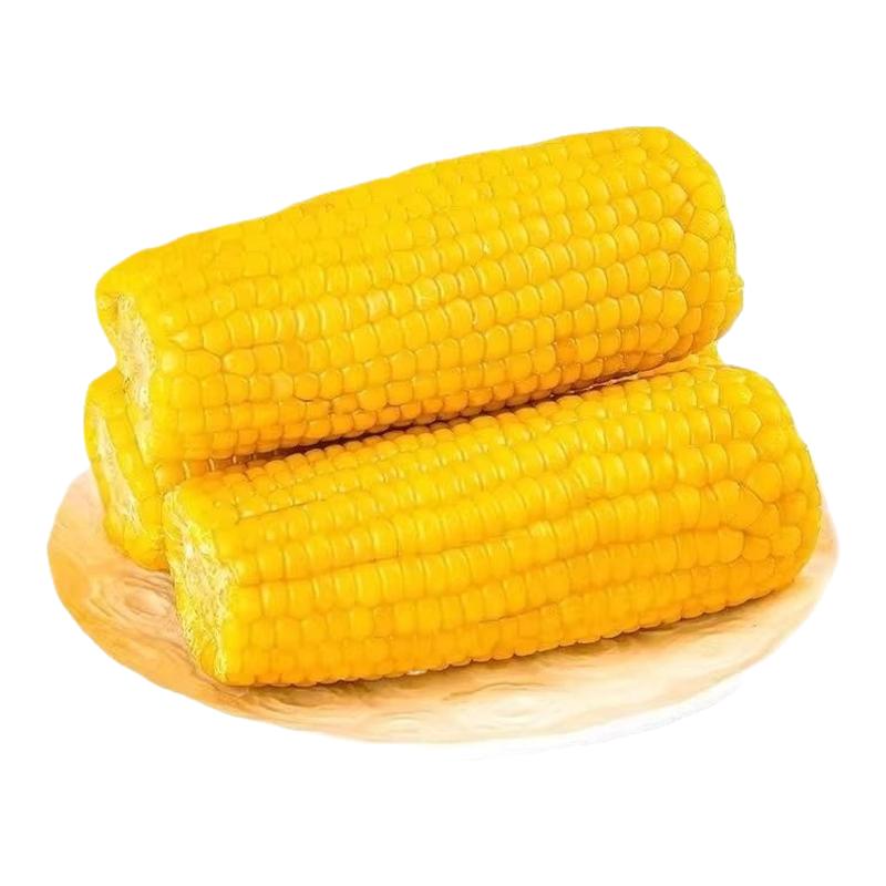 黄玉米新鲜东北糯玉米棒黄糯玉米家庭代餐早餐真空装黏粘甜糯苞米