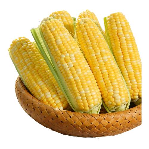 云南现摘甜糯玉米即食生吃代餐