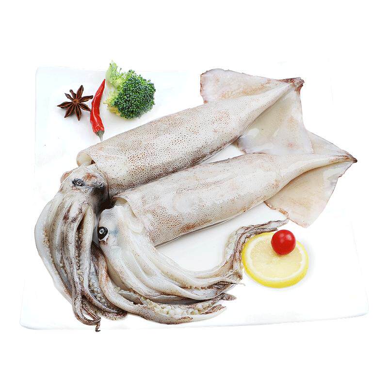 大鱿鱼新鲜冷冻鱿鱼生鲜火箭鱿鱼铁板烧烤半成品专用整只商用批发