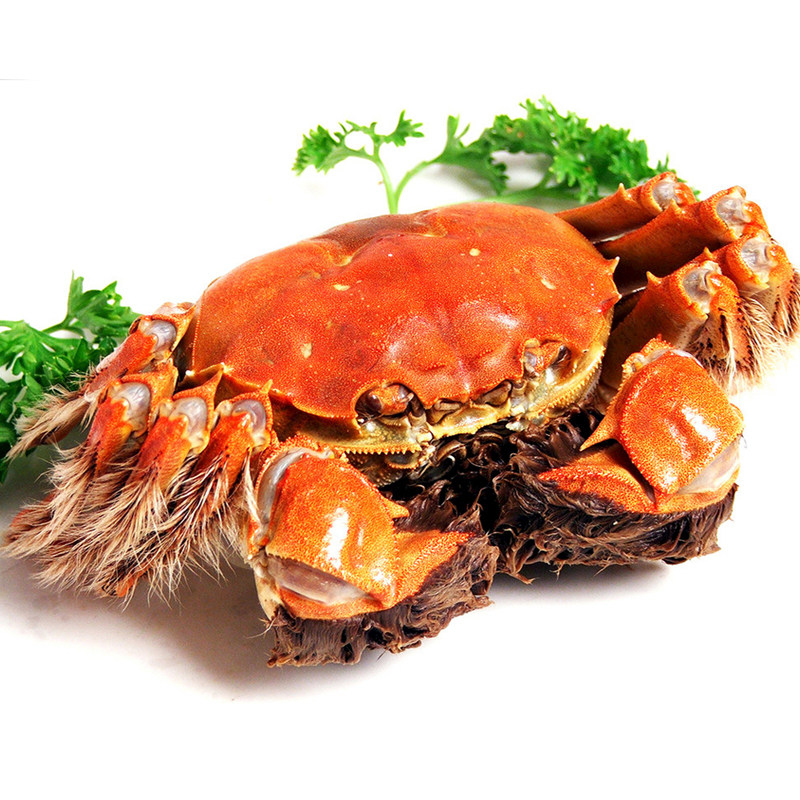 �ʻ���ˮ��բзĸз 2.0ĸ8ֻװ