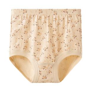 抗菌短裤 春织老年人内裤 中老年妈妈高腰三角裤 衩大码 女 纯棉奶奶裤