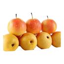 正宗东北南果梨 香水梨酒香新鲜水果新鲜冻梨孕妇水果