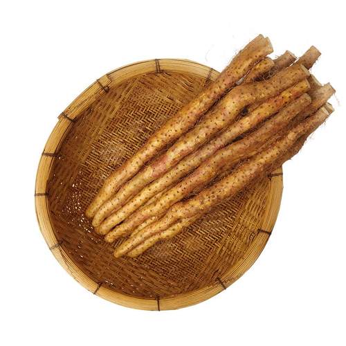垆土铁棍山药正宗河南焦作温县