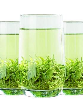 贵州绿茶2026新茶浓香毛尖茶500g