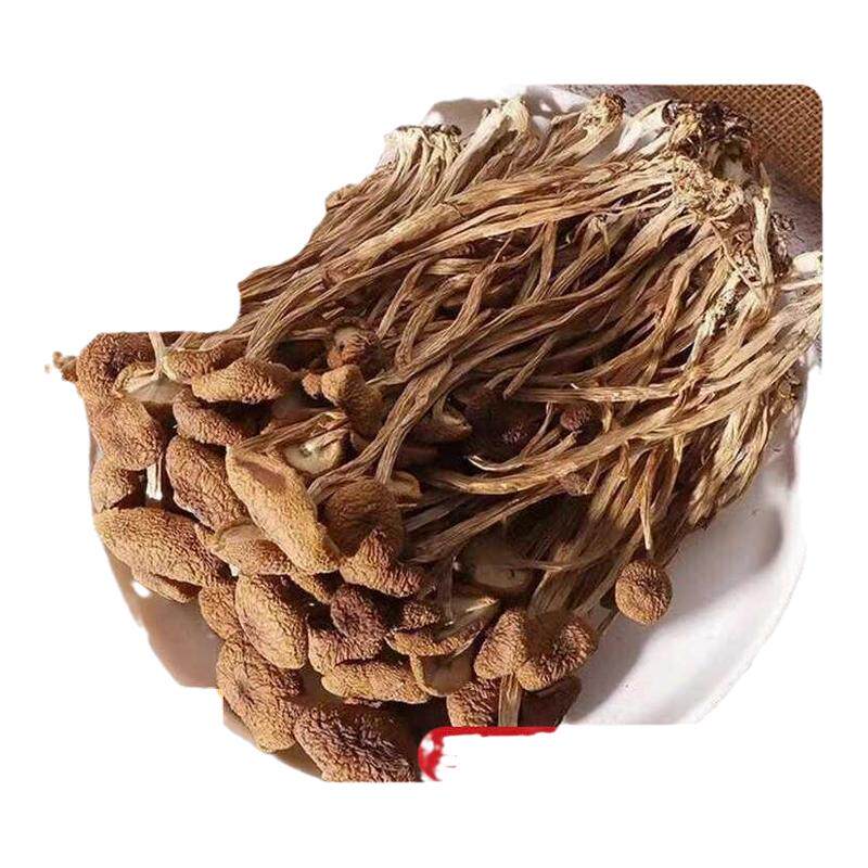 古田茶树菇干货农家特产菌菇食材