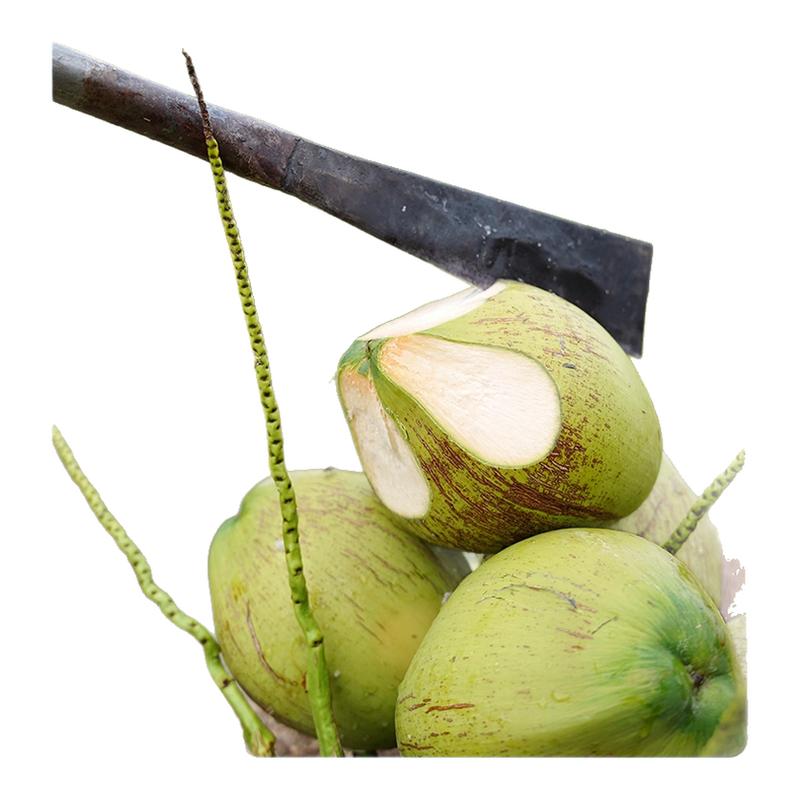 椰轻说椰子水天然泰国100%椰子汁