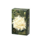 babycare山茶花儿童一次性内裤 男孩女童旅行免洗 灭菌四角平角内裤