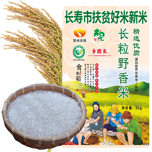 原生态扶贫农家自产长粒猫牙新米