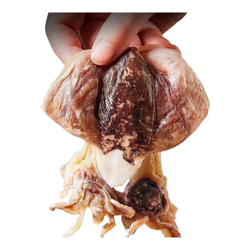 新晒墨鱼干乌贼干海捕墨鱼煲汤大墨鱼干目鱼干海产品干货比目批发