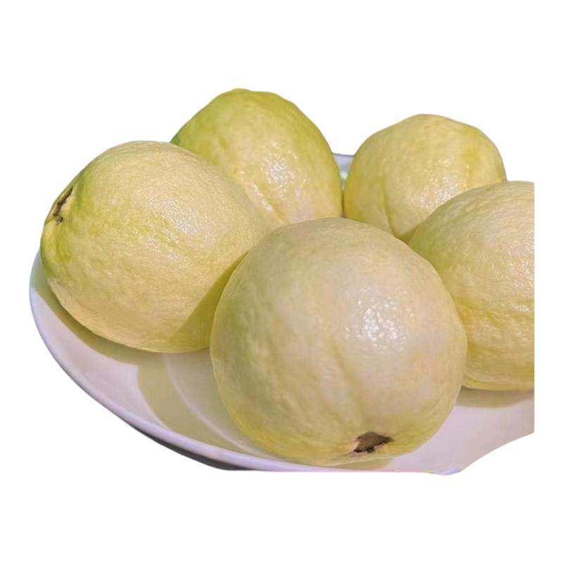 新鲜黄金奶油白心芭乐冰激凌口感软糯香甜土番石榴孕妇水果鸡屎果,水产肉类/新鲜蔬果/熟食,番石榴/芭乐,淘宝优惠券,粉丝福利购,淘宝优惠卷