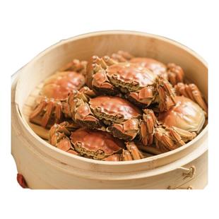 鲜活直达餐桌 足斤足两蟹黄饱满 大闸蟹礼盒 全母蟹满黄 活蟹