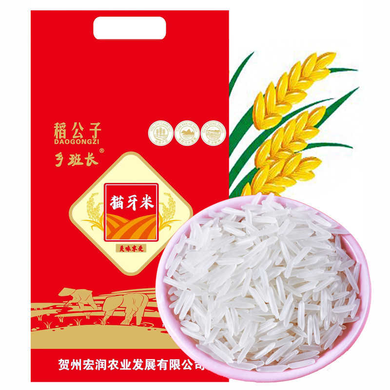 猫牙米大米批发长粒香米新米丝苗米5kg 蛋炒饭专用米煲仔饭10kg,粮油调味/速食/干货/烘焙,大米,淘宝优惠券,粉丝福利购,淘宝优惠卷