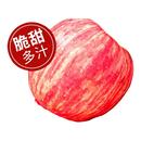 新果上市 新鲜水果现采现摘 陕西洛川苹果5斤装