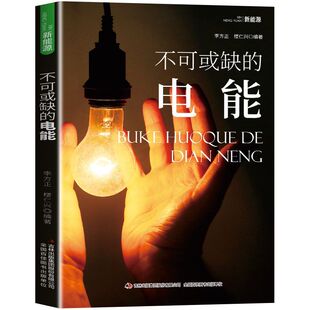 新能源 不可或缺的电能 深度解读电能革命 一本书读懂电能与人类文明关联 新能源时代的核心动力电能的核心地位无可替代