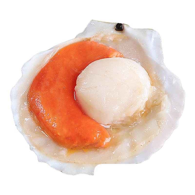 ڲ8-9cm 5ֻװ ǱıϺıʻ䶳29.9Ԫ