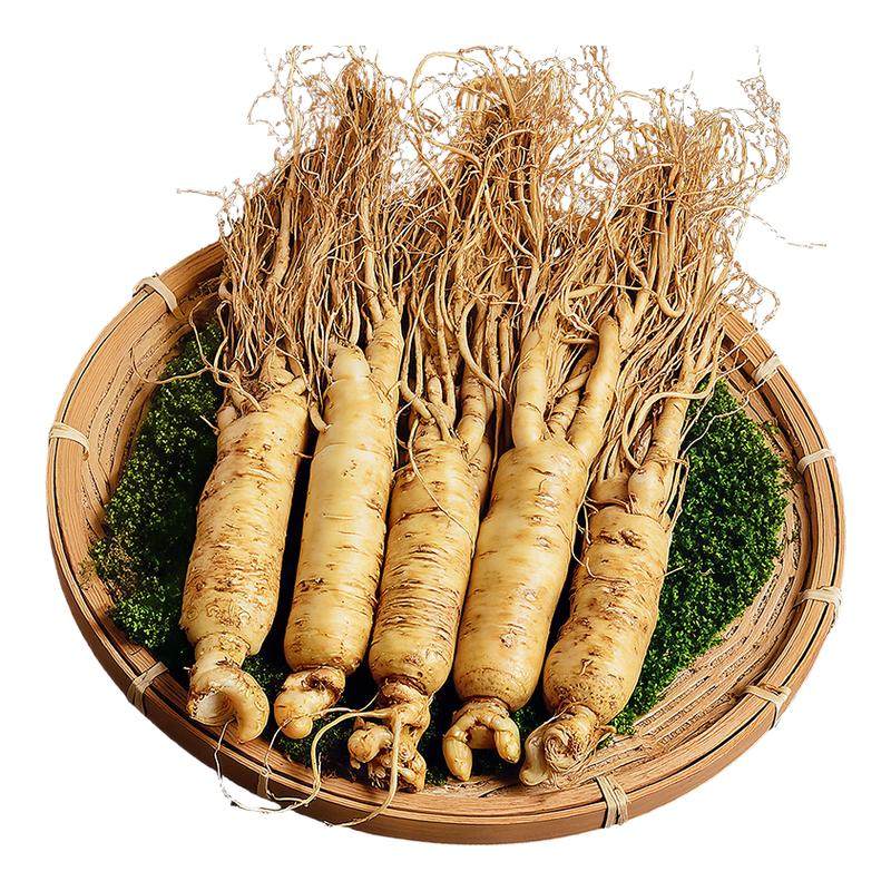 长白山人参鲜人参6-8克保鲜参酒浸鲜参补品煲汤泡酒材料袋装10支,传统滋补营养品,山参/野山参,淘宝优惠券,粉丝福利购,淘宝优惠卷