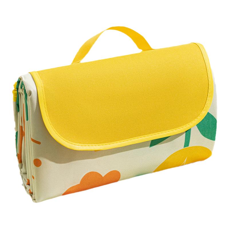 野餐垫防潮垫防水加厚可折叠户外露营音乐节草坪垫子帐篷沙滩地垫