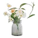 简约玻璃花瓶摆件客厅插花轻奢高级感透明水养插花水培餐桌花器