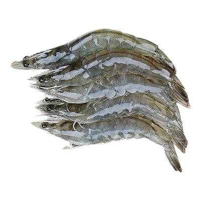 青岛海鲜特大冻虾鲜活速冻锁鲜