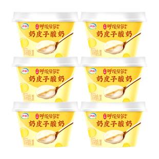 呼伦贝尔菌株原味生牛乳发酵低温 伊利宫酪奶皮子酸奶138g杯碗装