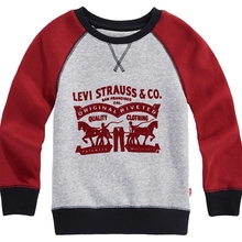 李维斯童装2025秋冬新款中大童宝宝加厚上衣男童保暖加绒红色卫衣