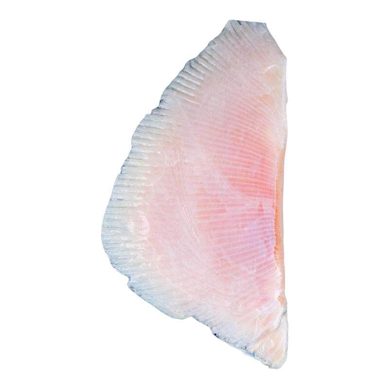 【顺丰上门】600-800g特大鳐鱼翅