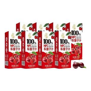 养眼护眼NFC100%车厘子汁饮料天然花青素果味饮品一整箱特价促销