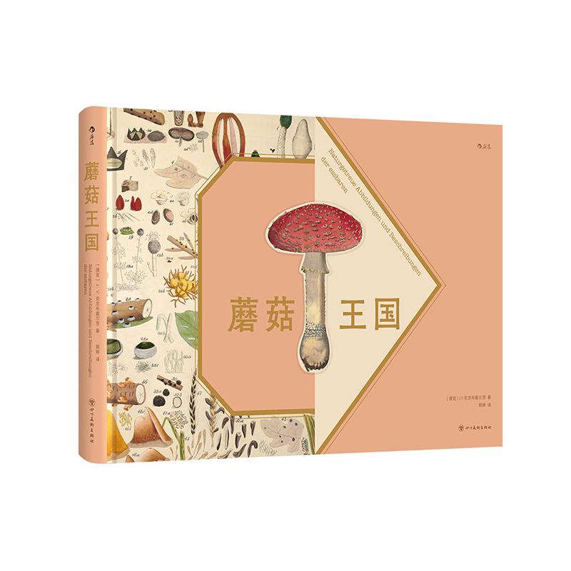 蘑菇王国复古艺术馆系列后浪