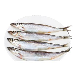 新鲜满籽多春鱼海鲜水产鲜活人吃超特大冷冻烧烤食材商用批发生鲜