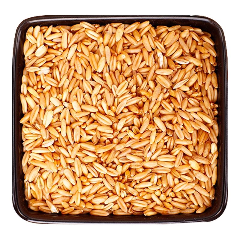 燕麦米新米东北五谷杂粮粗粮胚芽米饭去皮燕麦农家脱壳裸燕麦仁粒