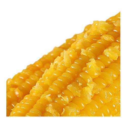 玉米新鲜糯玉米黏粘玉米棒真空装黄苞米早餐代餐东北玉米