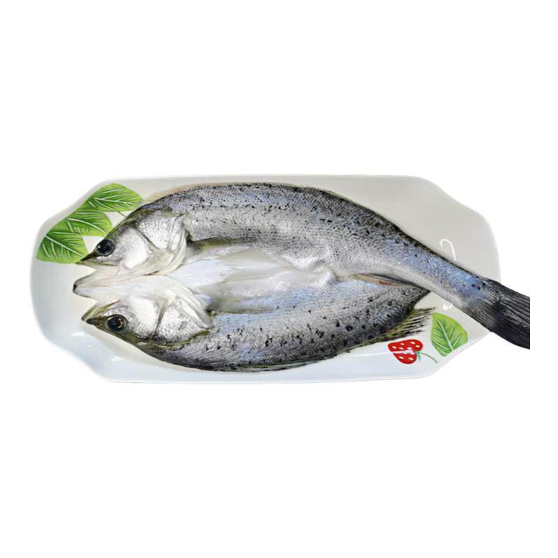 海洋演义海鲈鱼新鲜冷冻半成品