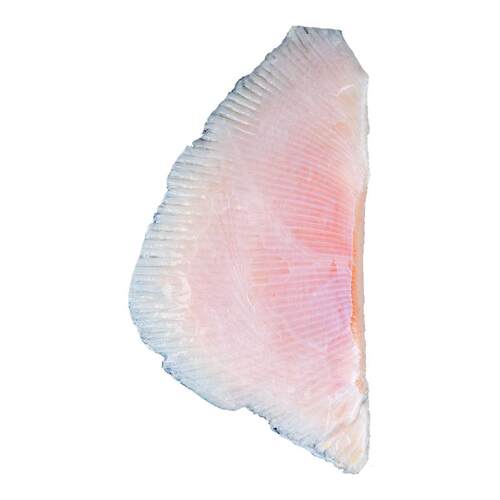 【不鲜包退】现切去皮特大鳐鱼翅