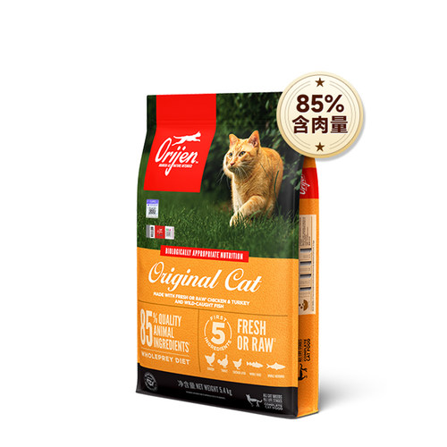 渴望美毛护肤增肥发腮英短全猫粮