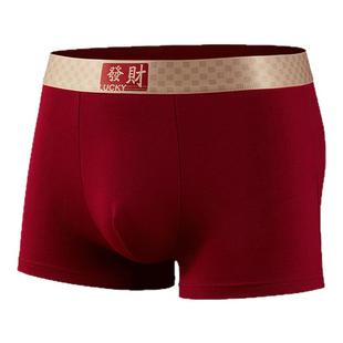 芬腾本命年纯棉男士内裤2026新款属马年青少年男生大红色平角短裤