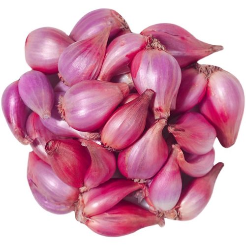 2广东四川四季红红葱头香葱头干葱头火葱头种葱小葱头四季小香葱