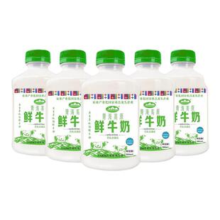 青海湖青海高原鲜牛奶500ml*8瓶巴氏杀菌成人儿童低温高原鲜奶