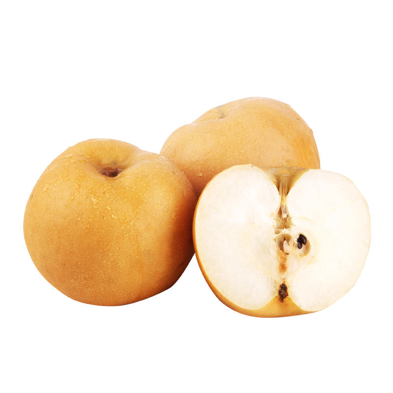 本来果坊 山东莱阳秋月梨礼盒当季整箱新鲜中秋应季水果顺丰包邮