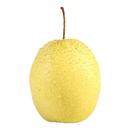 正宗河北雪梨新鲜雪花梨应季 水果冰糖雪梨新鲜梨子批发非砀山梨