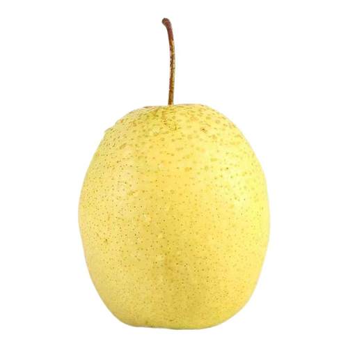 正宗河北雪梨新鲜雪花梨应季水果冰糖雪梨新鲜梨子批发非砀山梨